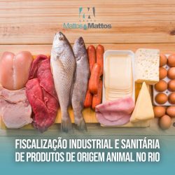 Saúde do consumidor: Prefeitura do Rio regulamenta fiscalização industrial e sanitária sobre produtos de origem animal
