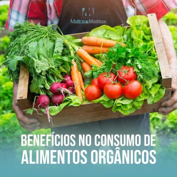 Benefícios do consumo de alimentos orgânicos
