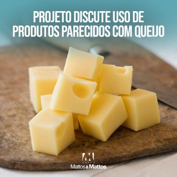 Projeto de lei discute uso de produtos parecidos com queijo