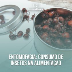 Entomofagia: consumo de insetos na alimentação