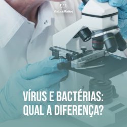 Vírus X Bactéria: qual a diferença?