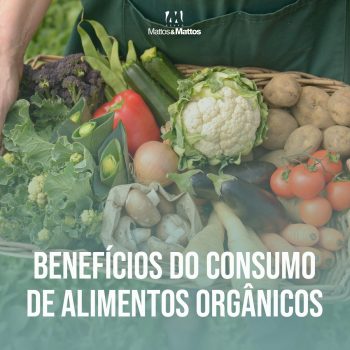 Benefícios do consumo de alimentos orgânicos
